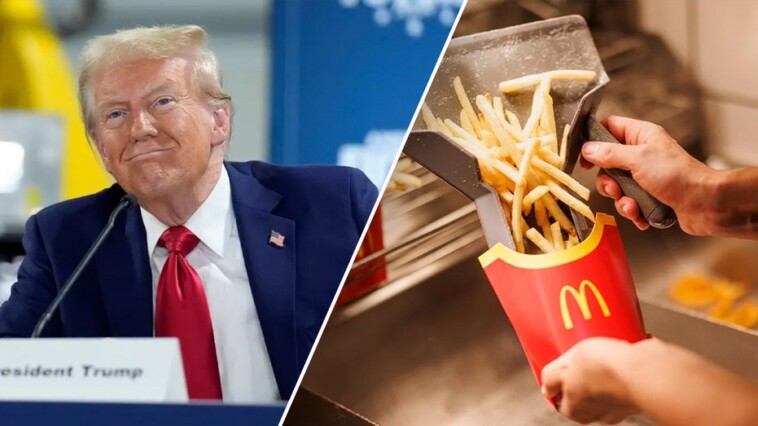 trump-teases-he-will-‘do-everything’-while-working-behind-mcdonald’s-counter-in-crucial-swing-state