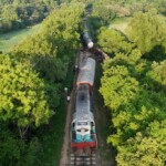 two-wild-elephants-killed-after-train-plows-through-herd-and-derails