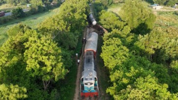 two-wild-elephants-killed-after-train-plows-through-herd-and-derails