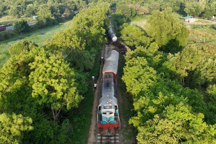 two-wild-elephants-killed-after-train-plows-through-herd-and-derails