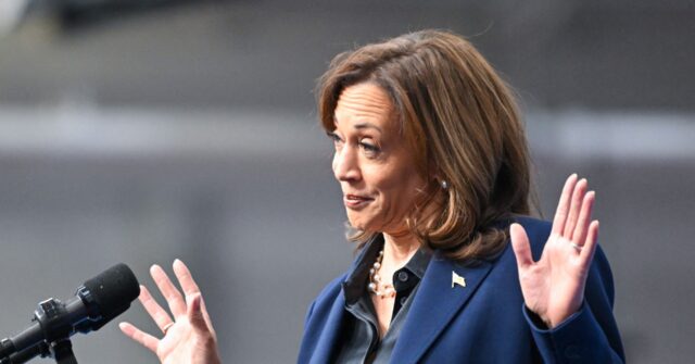 professed-christian-kamala-harris-mocks-man-for-shouting-‘jesus-is-lord’-at-wi-rally