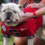 georgia’s-famed-mascot-staying-home-for-team’s-game-vs-texas:-‘crazy-as-hell’