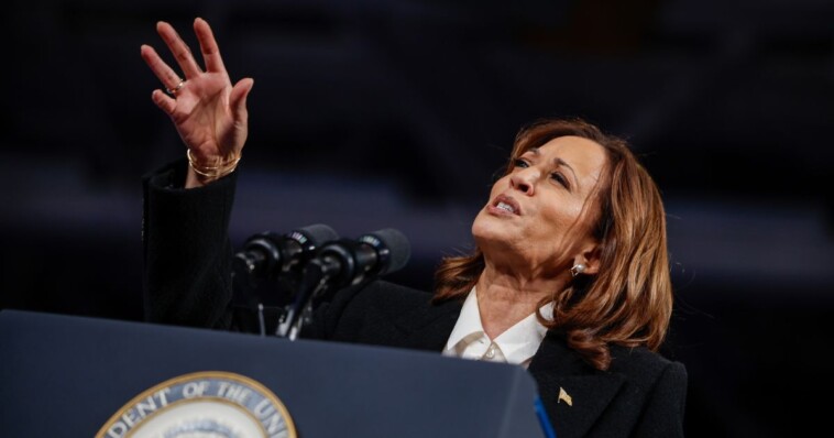 ‘is-she-drunk?’:-kamala-harris-gets-viciously-mocked-after-bizarre-order-to-her-crowd-during-detroit-rally