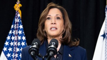 cnn-guest-warns-harris-campaign-is-falling-behind:-‘kamala-started-this-campaign-so-late’