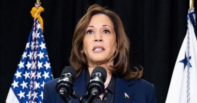 cnn-guest-warns-harris-campaign-is-falling-behind:-‘kamala-started-this-campaign-so-late’