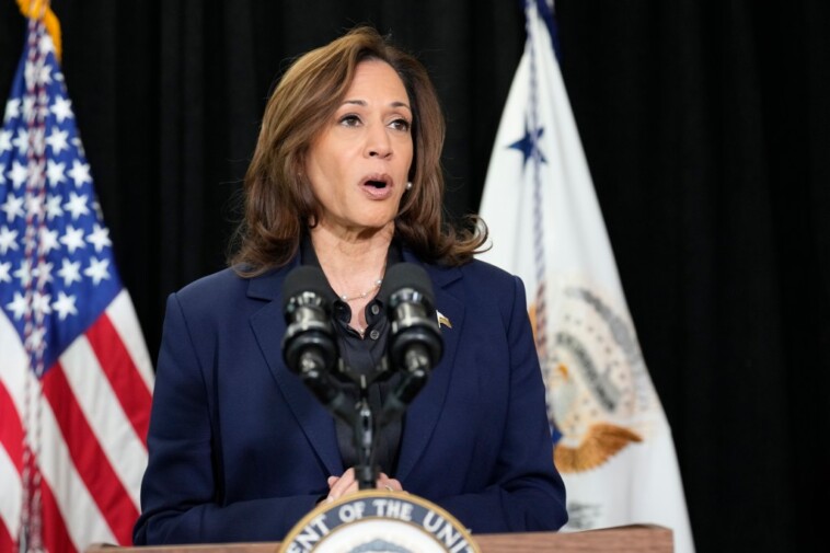 kamala-harris-publicly-agrees-with-protestor-accusing-israel-of-genocide:-‘what-he’s-talking-about,-it’s-real’