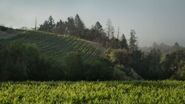 10-wine-caves-around-california-that-offer-unique-tours-for-visitors