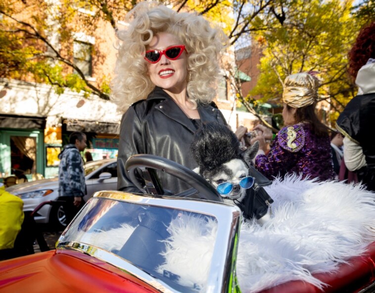 costume-clad-pups-take-to-nyc-streets-for-34th-annual-tompkins-square-halloween-dog-parade