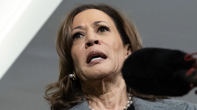 kamala-ripped-for-agreeing-with-far-left-protester-about-‘genocide’-in-gaza