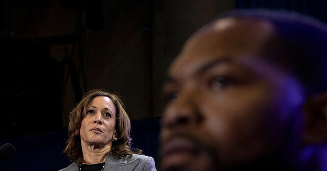 ‘insulting-to-black-men’:-kamala-harris’s-dating-show-style-ad-garners-backlash