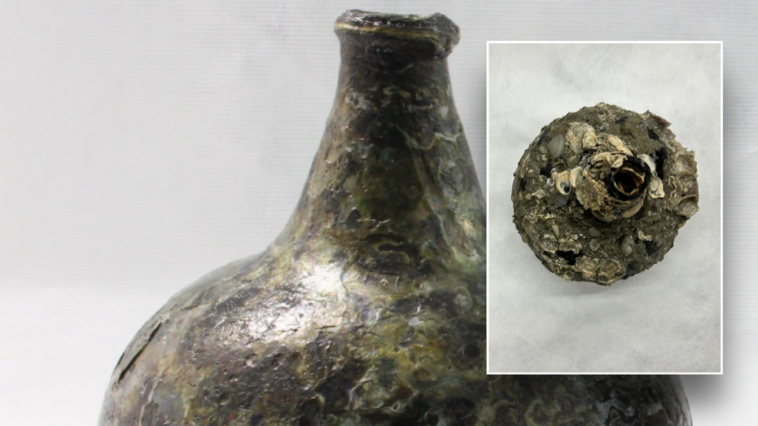 divers-recover-‘unique’-alcohol-bottles-from-the-1700s-near-florida