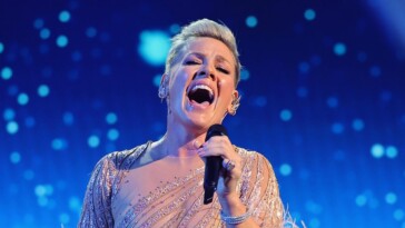 singer-pink-postpones-slate-of-concerts-due-to-reasons-beyond-her-control