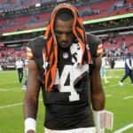 browns’-deshaun-watson-carted-off-field-with-apparent-achilles-injury