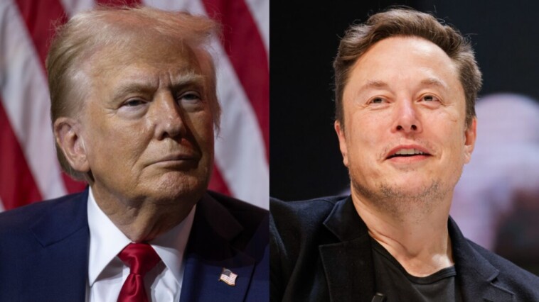 spin-cycle:-trump’s-not-all-right,-better-investigate-elon-musk