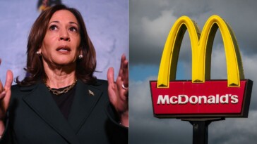 where-is-the-proof?-mcdonald’s-finally-says-why-kamala-harris-can’t-verify-working-for-them