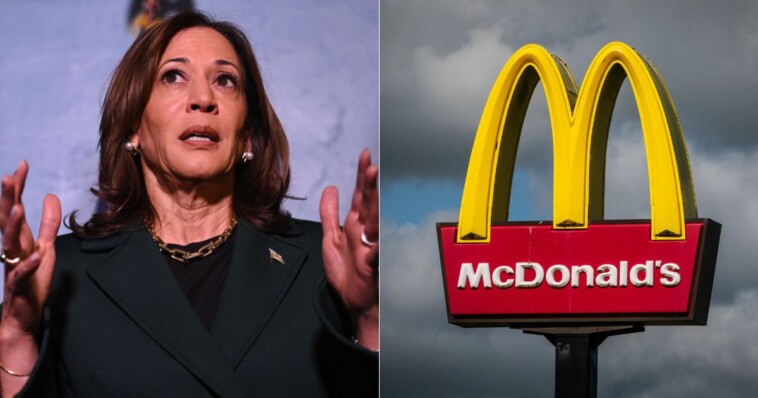 where-is-the-proof?-mcdonald’s-finally-says-why-kamala-harris-can’t-verify-working-for-them