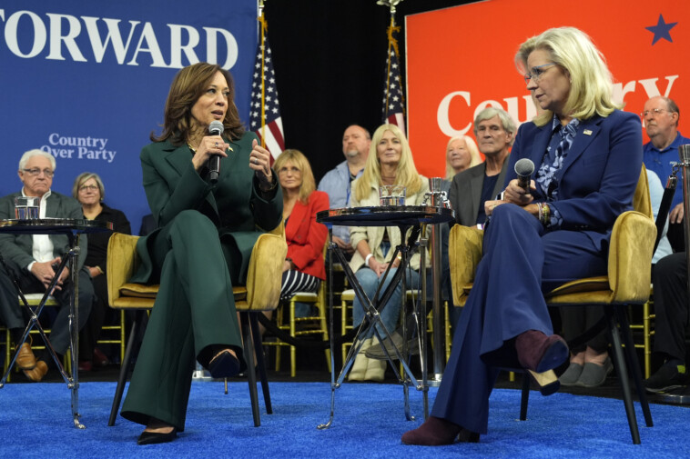 kamala-harris-snubs-biden,-calling-2024-election-first-in-‘recent-history’-with-two-very-different-candidates