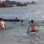 man-‘lucky-to-be-alive’-after-‘sexually-frustrated’-dolphin-attacked-him-while-swimming