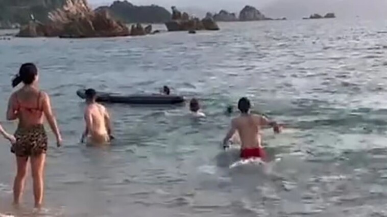 man-‘lucky-to-be-alive’-after-‘sexually-frustrated’-dolphin-attacked-him-while-swimming