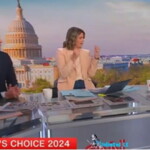 shock:-cnn’s-morning-hosts-actually-praised-trump’s-mcdonald’s-visit:-‘i-think-this-was-insanely-smart!’-(video)