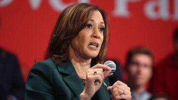 why-kamala-harris-is-a-perfect-poster-child-for-what’s-wrong-with-dei