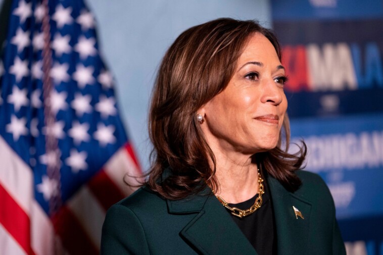 fewer-than-3-in-10-georgia-men-back-kamala-harris-for-president:-poll