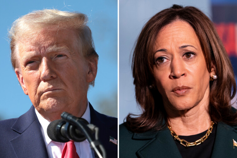 kamala-harris-and-donald-trump-remain-neck-and-neck-in-nyc-suburbs,-siena-poll-shows