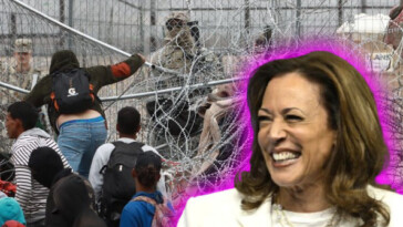 binder:-the-truth-about-kamala-harris’s-‘strongest-border-bill-in-decades’