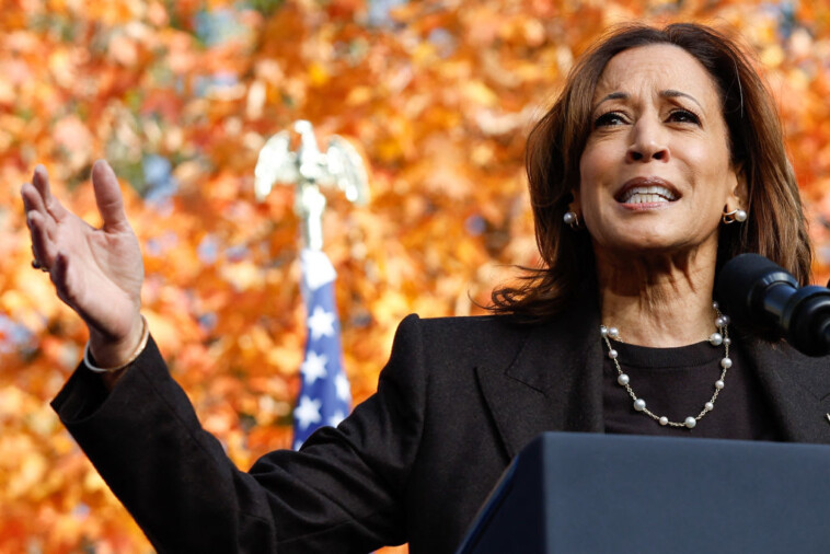 kamala-camp-scrambles-to-navigate-cracks-in-the-‘blue-wall’