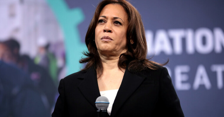 nevada-election-expert-says-kamala-harris-in-‘serious-danger,’-democrats-are-‘bedwetting-in-epic-proportions’