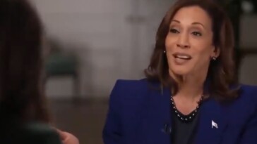 kamala-harris-bombs-in-nbc-interview-when-asked-why-voters-trust-trump-and-not-her-on-the-economy-(video)