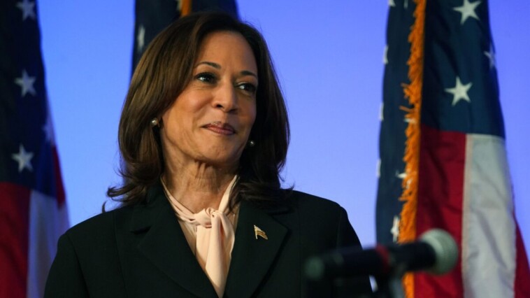 non-citizen,-illegal-alien-voting-could-deliver-key-swing-states-to-harris,-study-finds