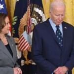 democratic-insider-says-‘we-gotta-lock-joe-up’-after-biden’s-latest-miscue-threatens-to-hurt-harris:-report