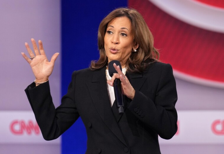 cnn-panel-roasts-kamala-harris-for-failing-to-set-out-her-vision-after-pa.-town-hall:-‘word-salad-city’