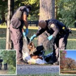 migrant-man-found-hanged-in-nyc-park-was-suspected-of-repeatedly-raping-underage-relative:-sources