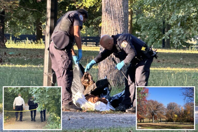 migrant-man-found-hanged-in-nyc-park-was-suspected-of-repeatedly-raping-underage-relative:-sources