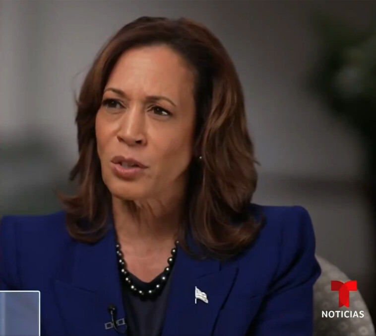 kamala-harris-is-the-‘original-defunder’-of-the-police-and-‘lies’-about-her-time-as-a-prosecutor:-ex-cops