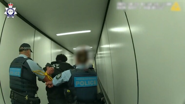 air-new-zealand-flight-diverted-when-drunk-passenger-allegedly-assaults-crew:-video