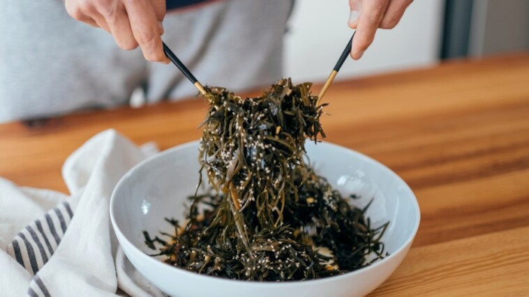 brown-seaweed-consumption-could-help-manage-and-prevent-type-2-diabetes,-study-shows