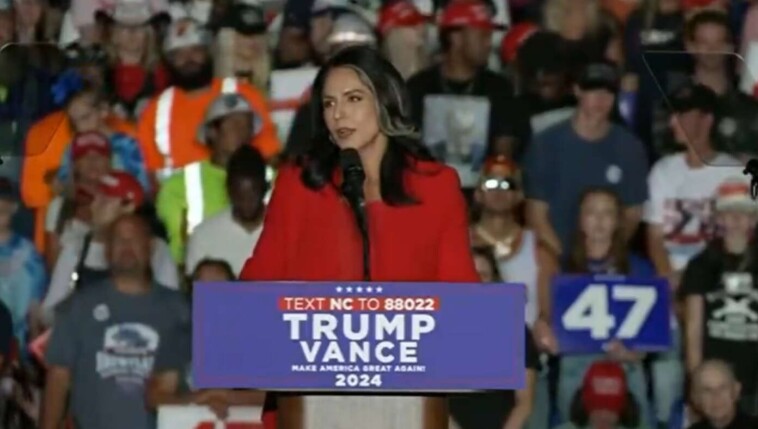 tulsi-gabbard-finally-realizes-she’s-far-too-attractive-to-be-a-democrat