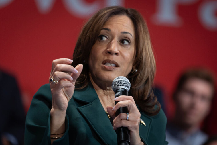 cnn-commentator-rips-kamala-after-town-hall:-‘a-duck-billed-platitude’