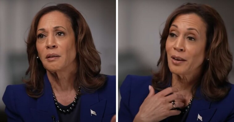 kamala-harris-struggles-for-words,-biden-style,-as-she-attempts-to-play-it-both-ways-on-immigration