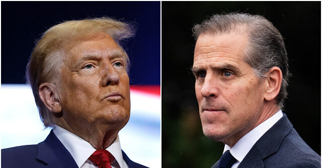 donald-trump-says-he-is-open-to-pardoning-hunter-biden:-‘i-wouldn’t-take-it-off-the-books’