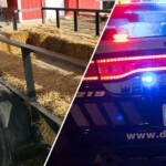 new-jersey-family-friendly-hayride-event-dissolves-into-chaos-after-hundreds-of-teens-wreak-havoc:-police