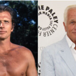 ron-ely,-‘tarzan,’-‘doc-savage’-star,-dies-at-86