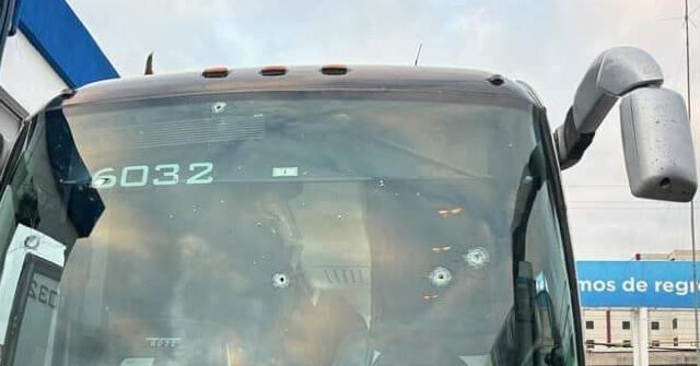 tourists-shot-at-in-central-mexico-while-riding-passenger-bus