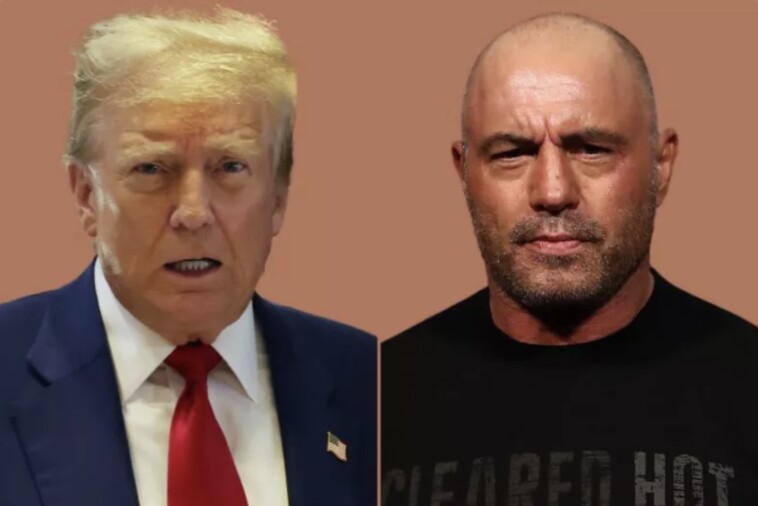 president-trump-will-sit-down-with-podcaster-joe-rogan-today-in-historic-interview-–-kamala-harris-turned-down-invite…-obviously-couldn’t-handle-it