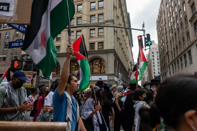 student-leaders-at-cuny-grad-school-pass-anti-israel-resolution-that-bans-spending-on-products-like-sabra-hummus,-starbucks