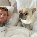 french-bulldog-dies-on-alaska-airlines-flight-after-being-bumped-from-first-class-to-coach:-lawsuit