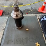 spot-of-beloved-brooklyn-sidewalk-fish-pond-covered-by-cement-days-after-it-was-destroyed